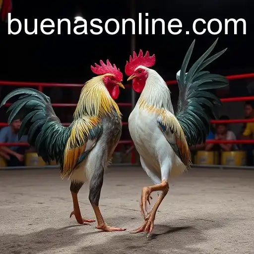 The Digital Evolution of Online Sabong: Unpacking the Role of BUENAS